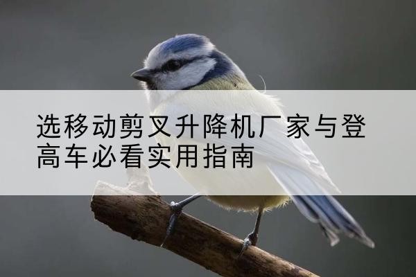 前锋电动升降机厂家-选移动剪叉升降机厂家与登高车必看实用指南