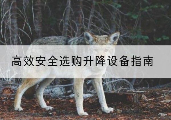 前锋升降货梯厂家推荐-*安全选购升降设备指南